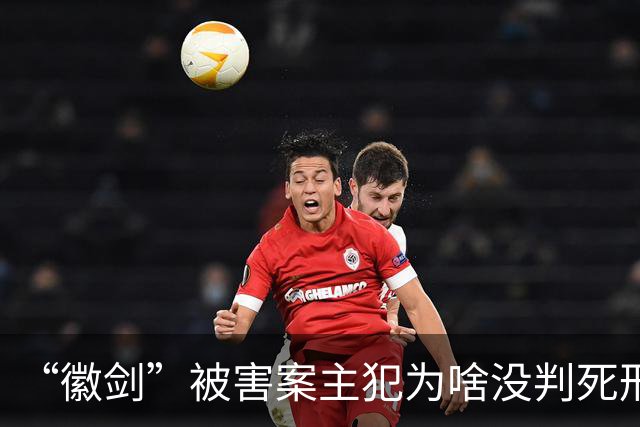 “徽剑”被害案主犯为啥没判死刑？徽剑被质疑养水军还和缅北电诈势力有勾连