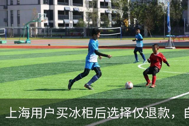 上海用户买冰柜后选择仅退款，自称冰柜"已销毁"无法退货，商家跨省索要后发现冰柜正插电使用，结局亮了