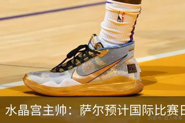 水晶宫主帅：萨尔预计国际比赛日后复出；每一分都至关重要